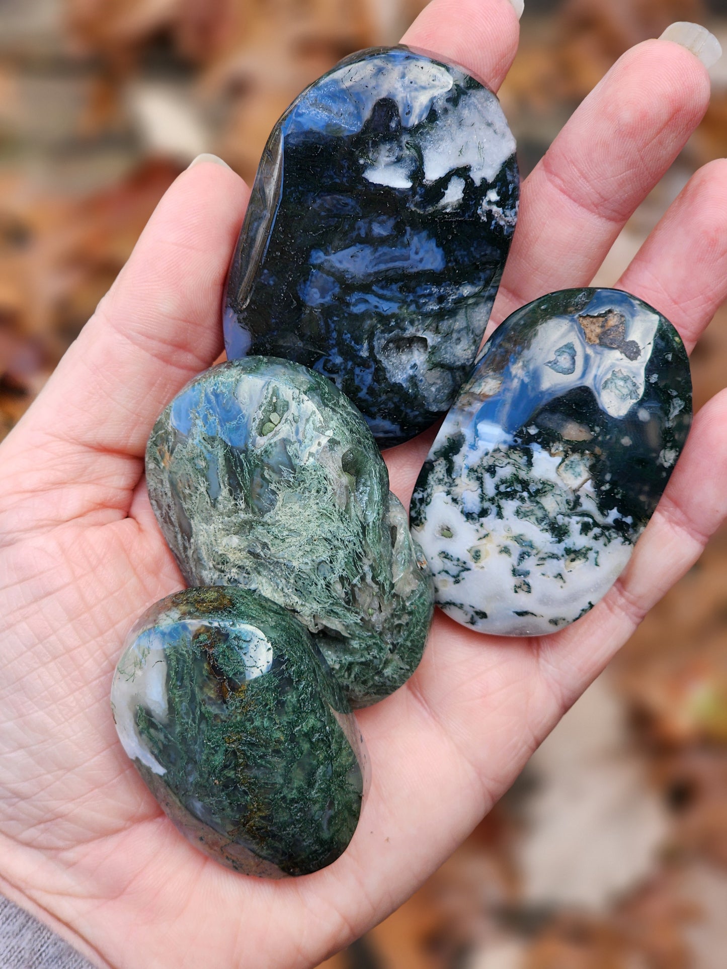Moss Agate Palm Stone