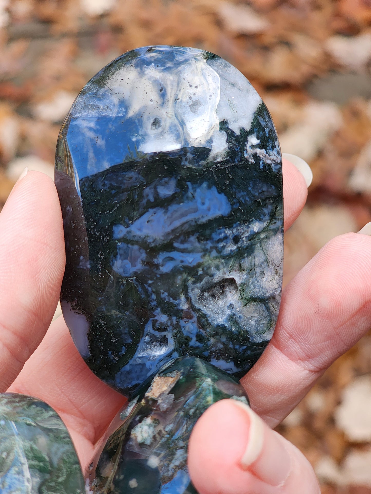 Moss Agate Palm Stone