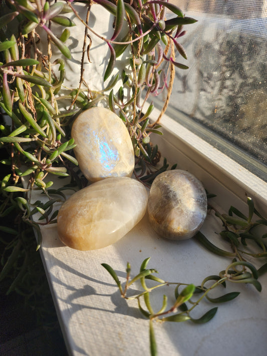 Moonstone Palm Stone with Blue Flash