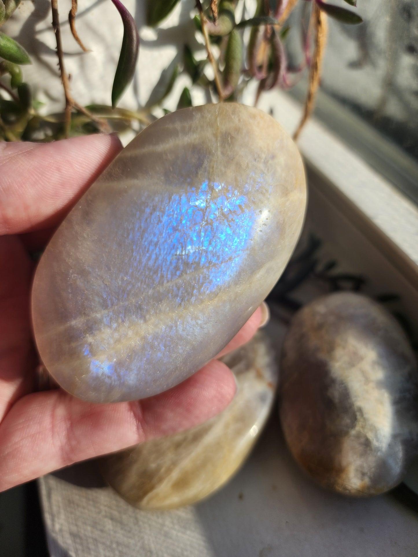 Moonstone Palm Stone with Blue Flash