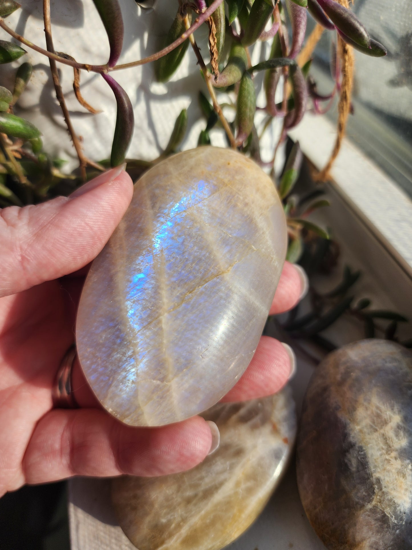 Moonstone Palm Stone with Blue Flash