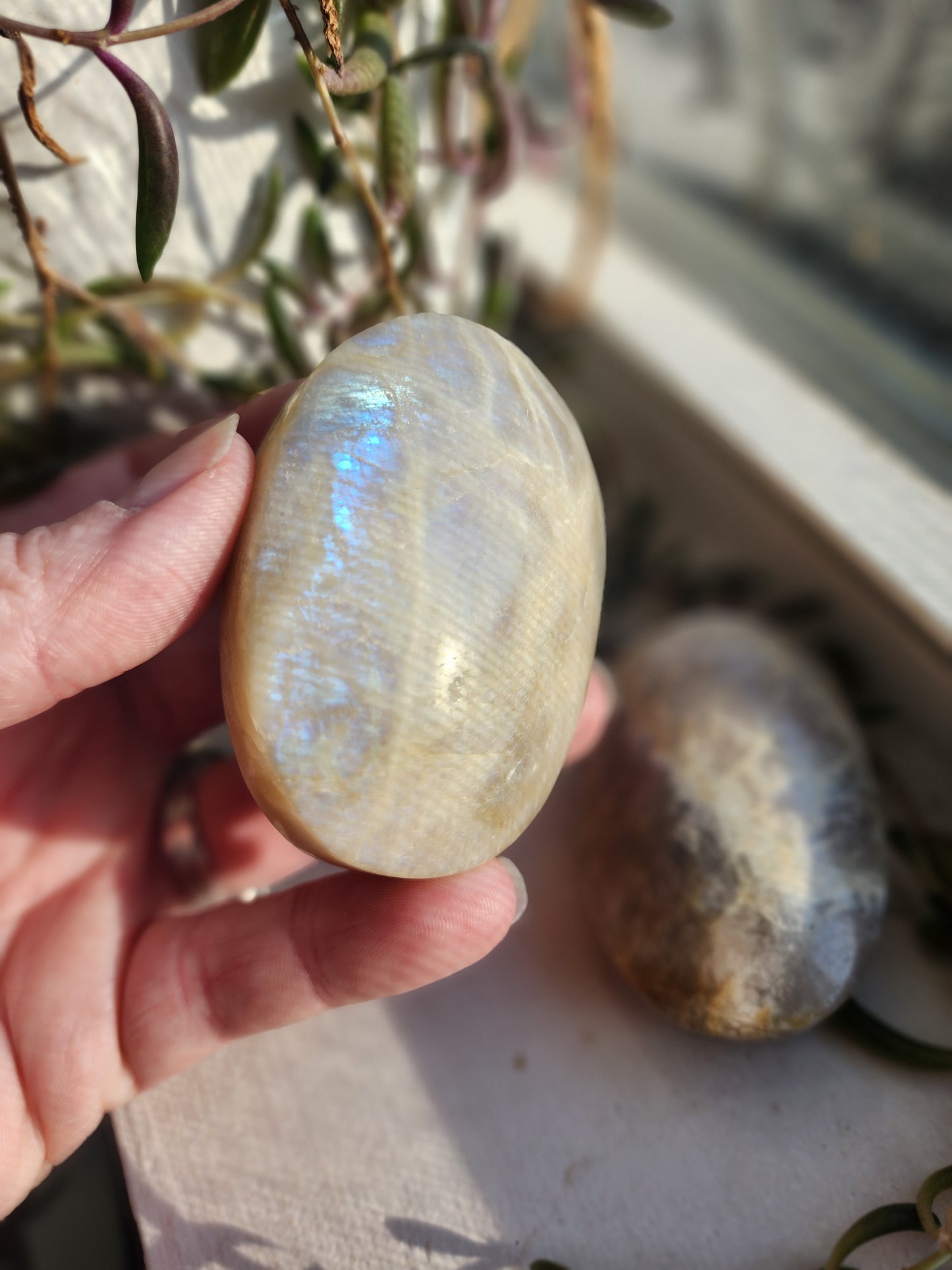 Moonstone Palm Stone with Blue Flash