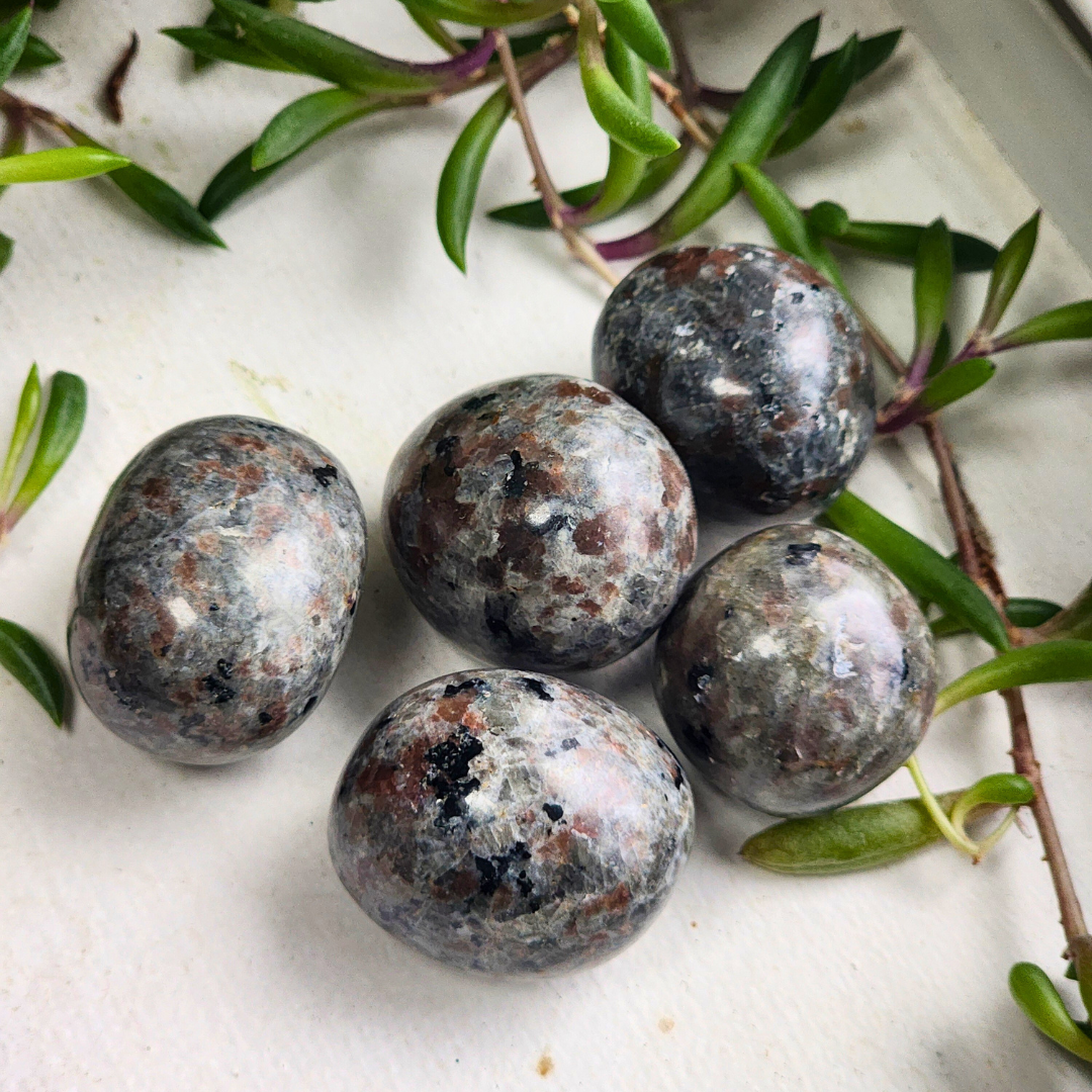 Yooperlite Tumbled Stones