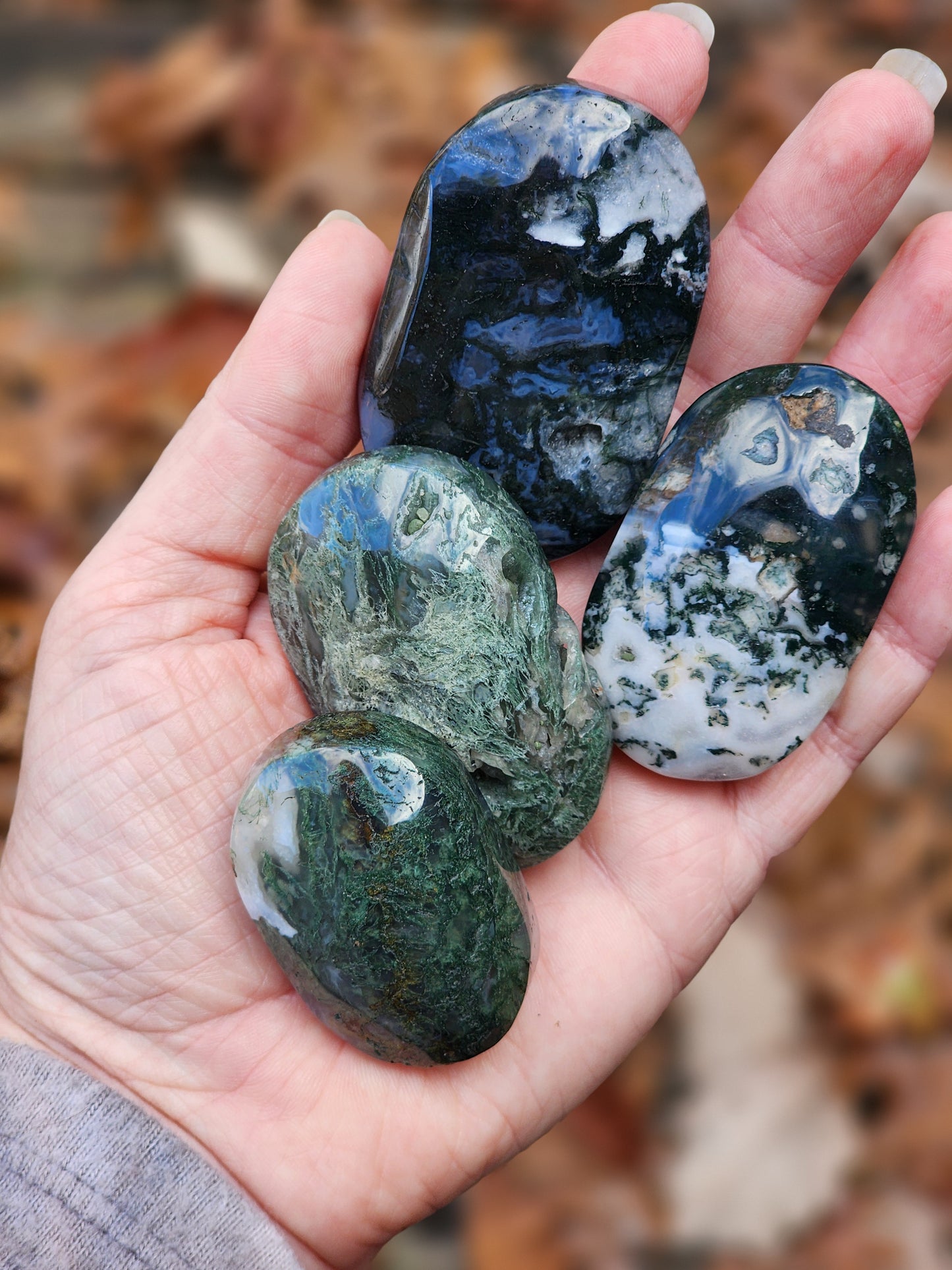 Moss Agate Palm Stone