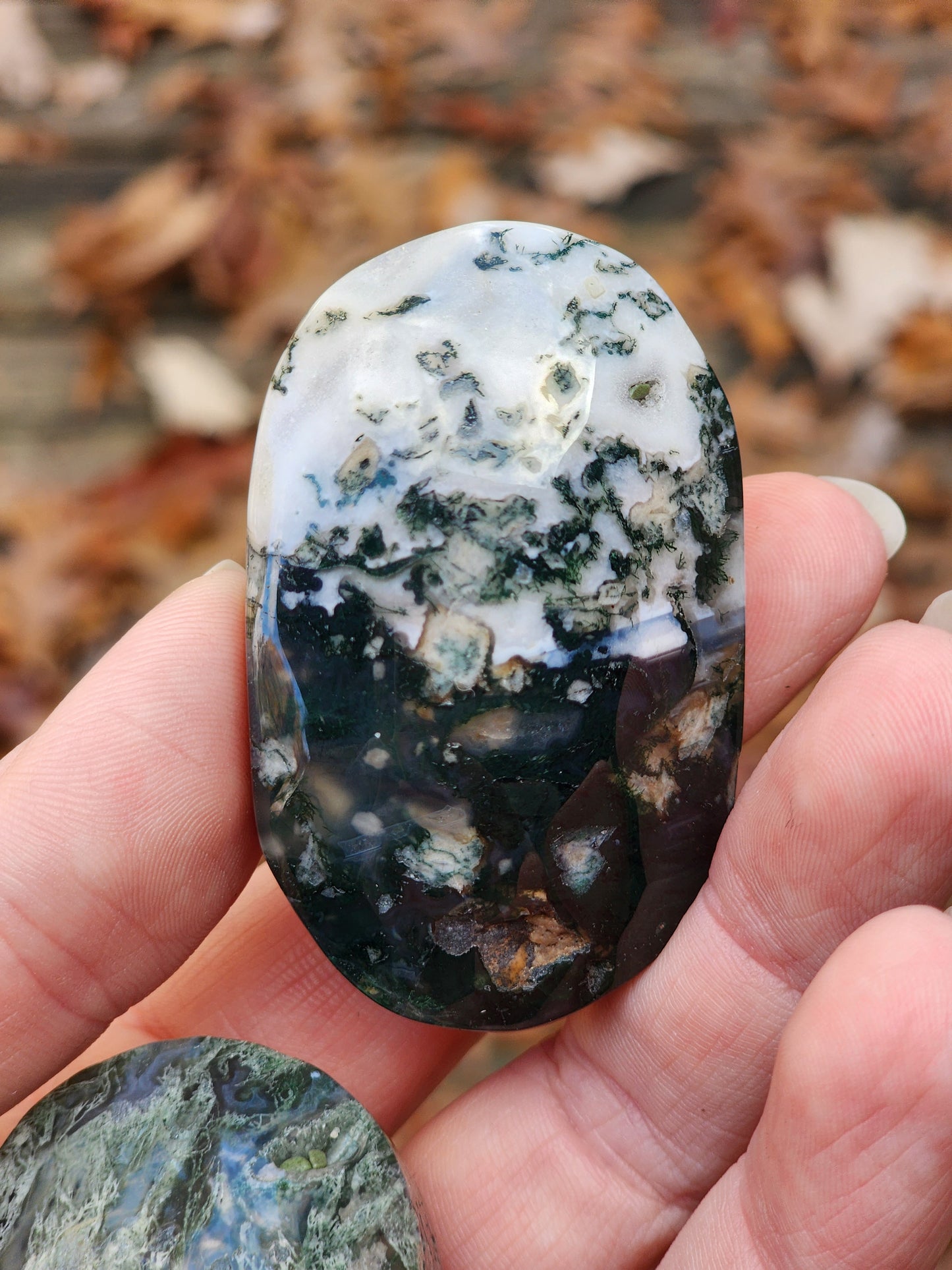 Moss Agate Palm Stone