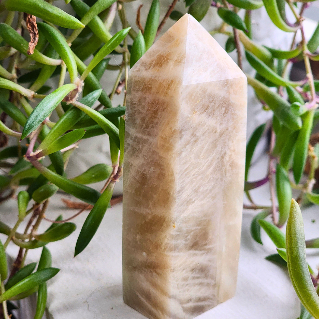 Golden Healer Quartz Tower, Medium