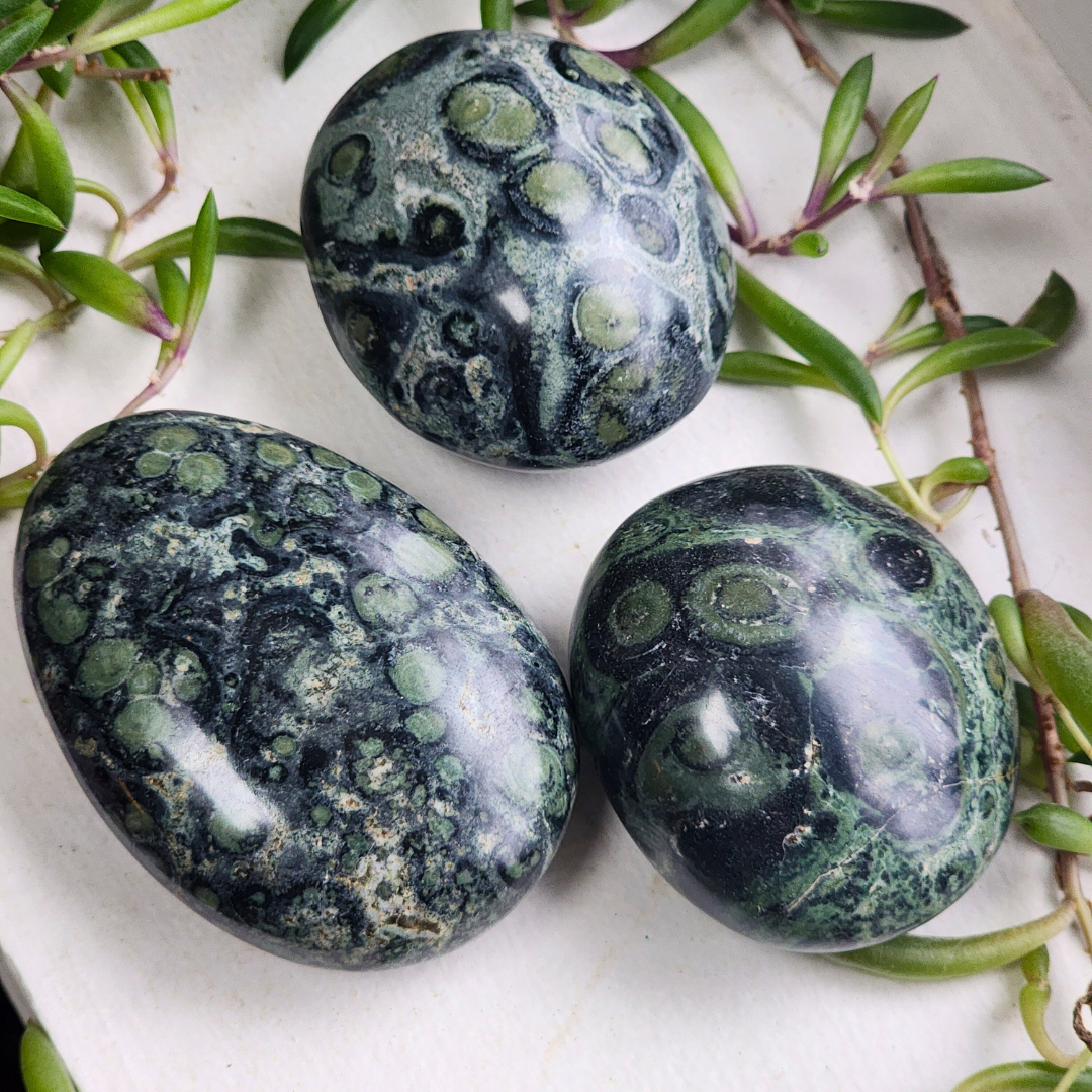 Kambaba Jasper Palm Stone