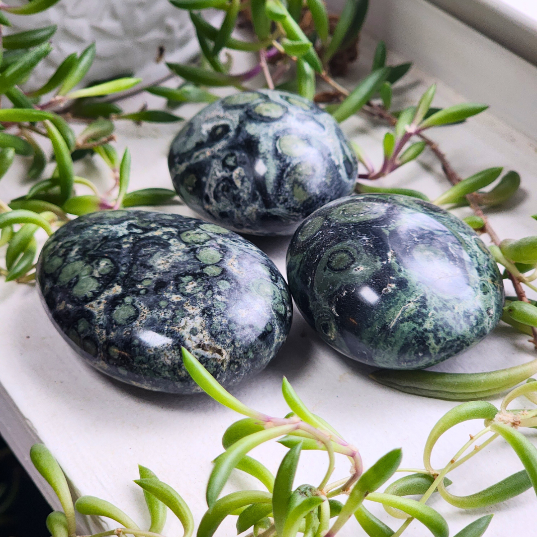 Kambaba Jasper Palm Stone