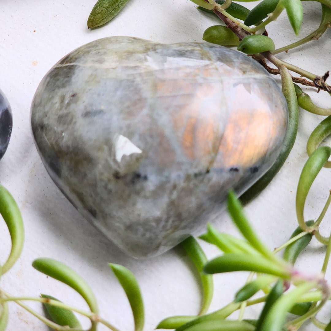 Labradorite with Flash, Heart