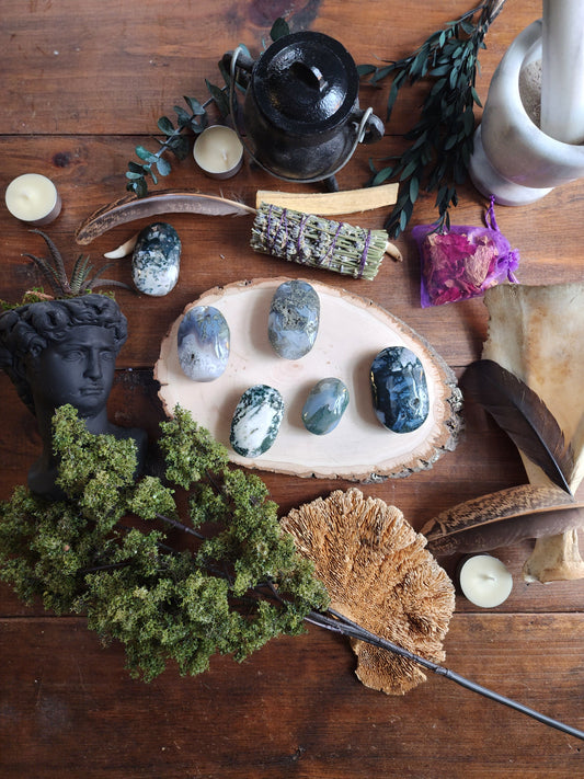 Palm Stone-Moss Agate